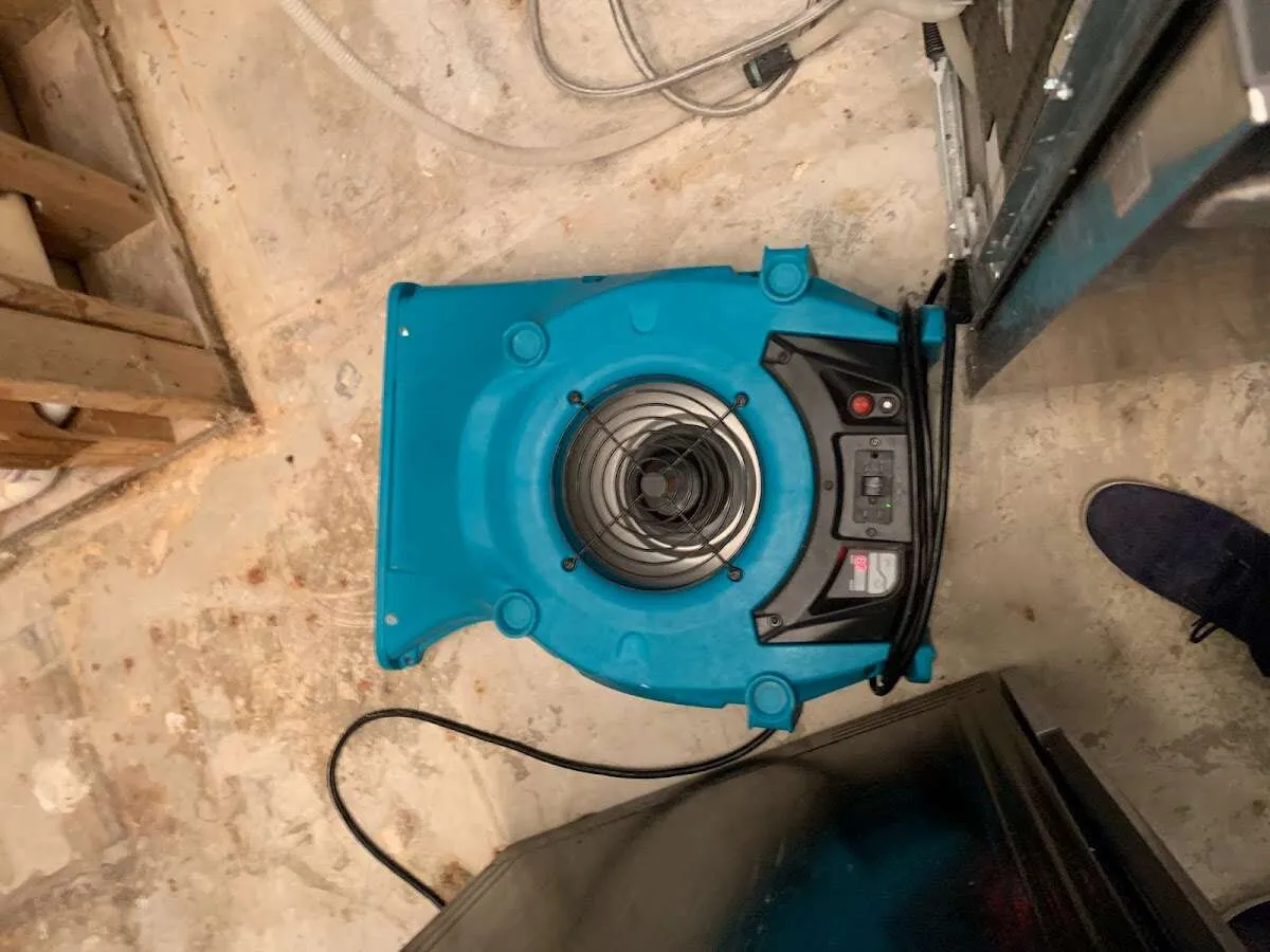Air mover drying equipment for Mold Remediation & Removal in Gardnerville Ranchos
