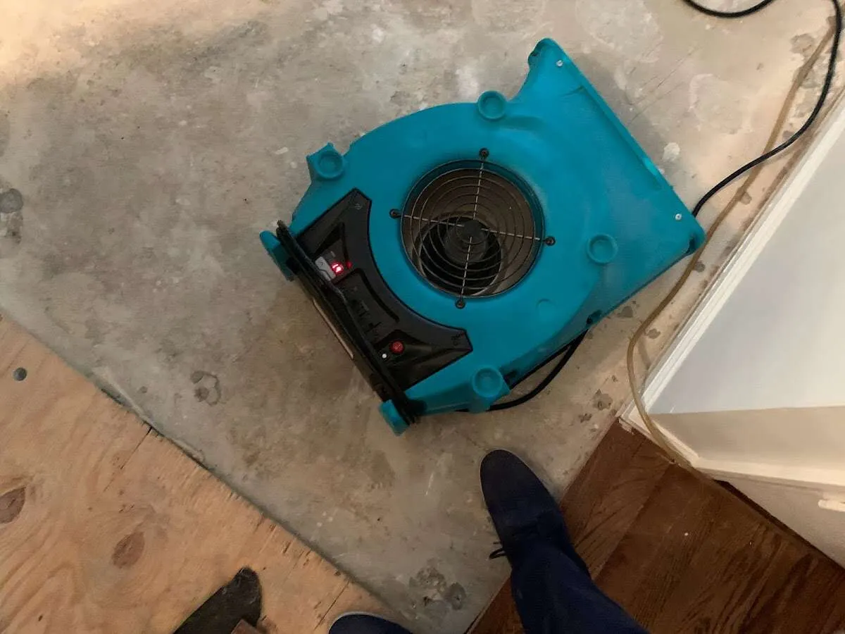 Air mover drying subfloor during Leak Detection & Repair in Gardnerville Ranchos