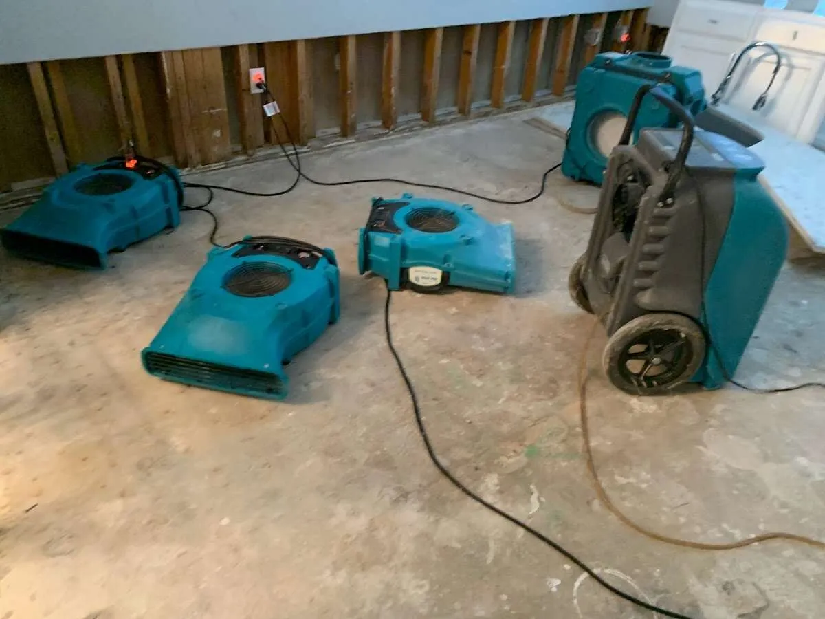 Basement Flood Cleanup in Gardnerville Ranchos, NV